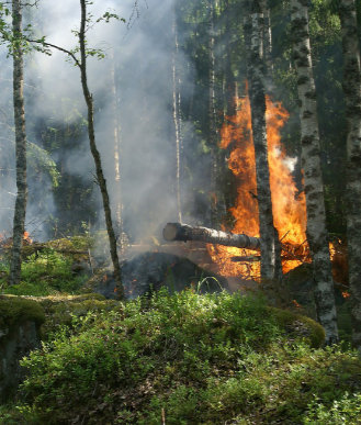 emergenza incendi