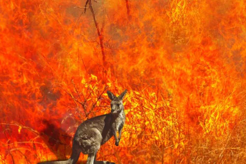 australia in fiamme