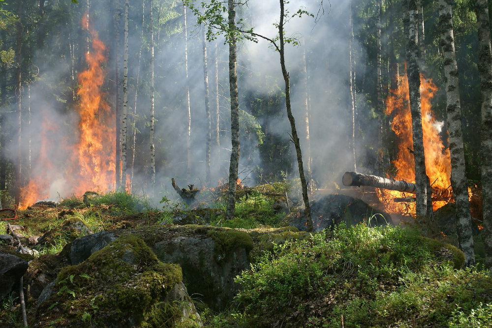 emergenza incendi